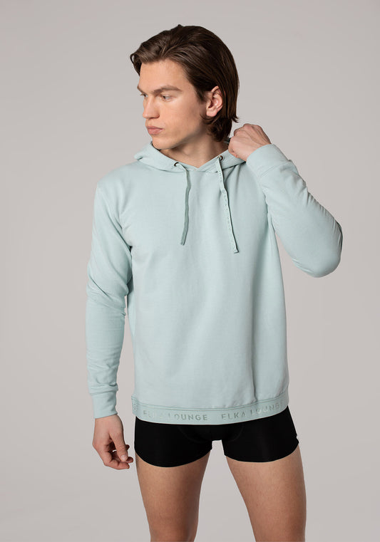 Men sweatshirts organic cotton Mint brushed - regular
